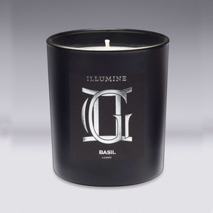 Illumine Gemini Basil Candle with a Grey background