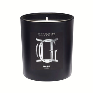 Illumine Gemini Basil Candle with a white background
