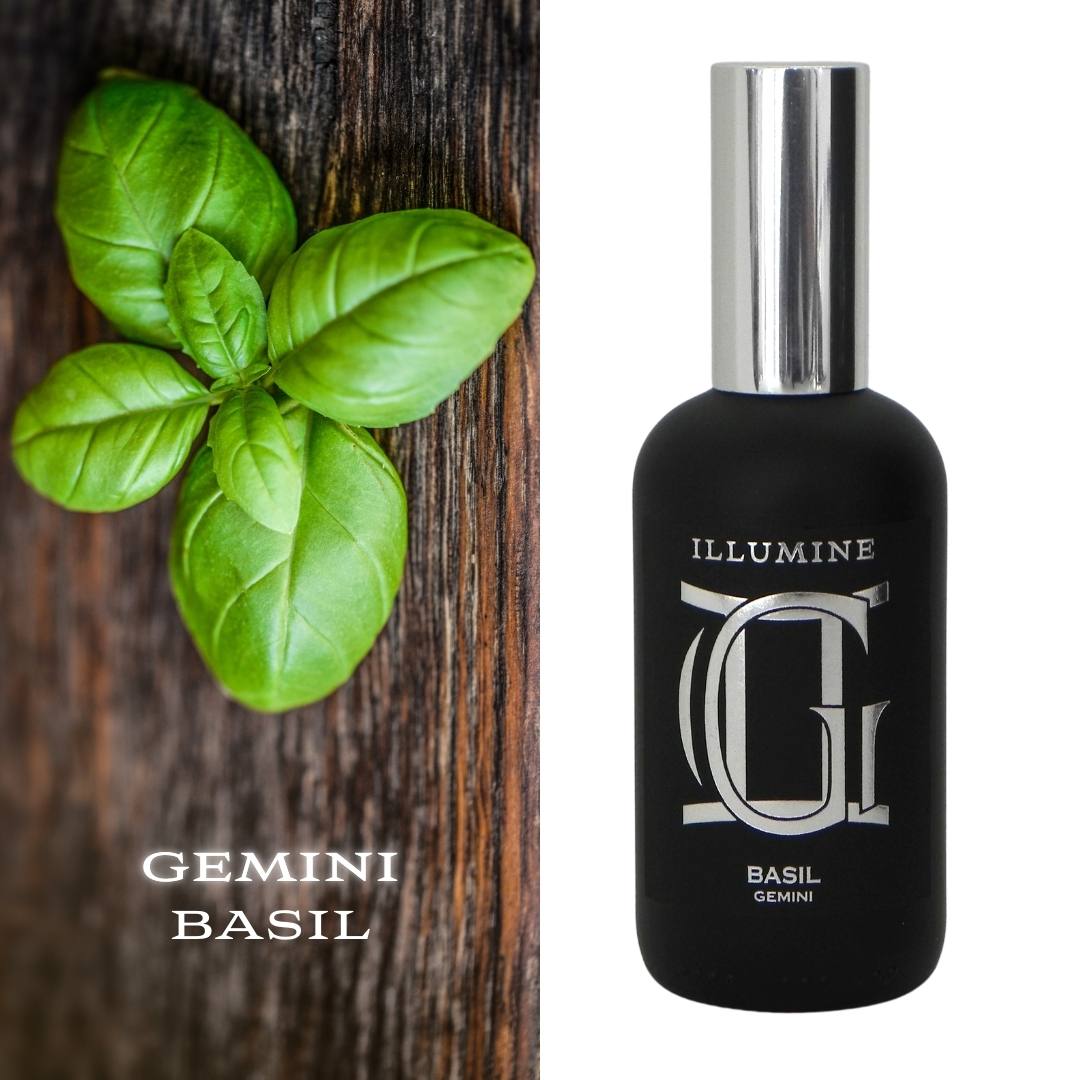 ILLUMINE GEMINI SIGNATURE FRAGRANCE BASIL